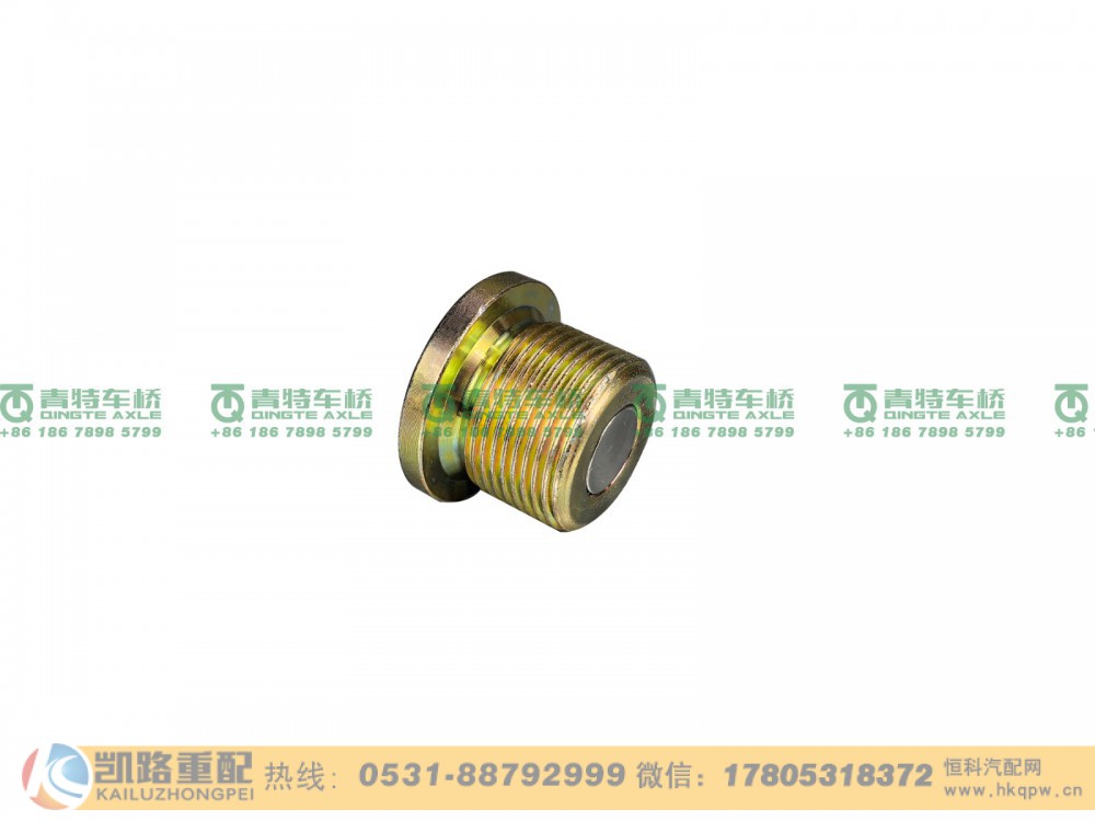 QT300S1-2400039,放油螺塞,山东凯路汽车零部件制造有限公司
