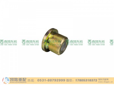 QT300S1-2400039,放油螺塞,山东凯路汽车零部件制造有限公司