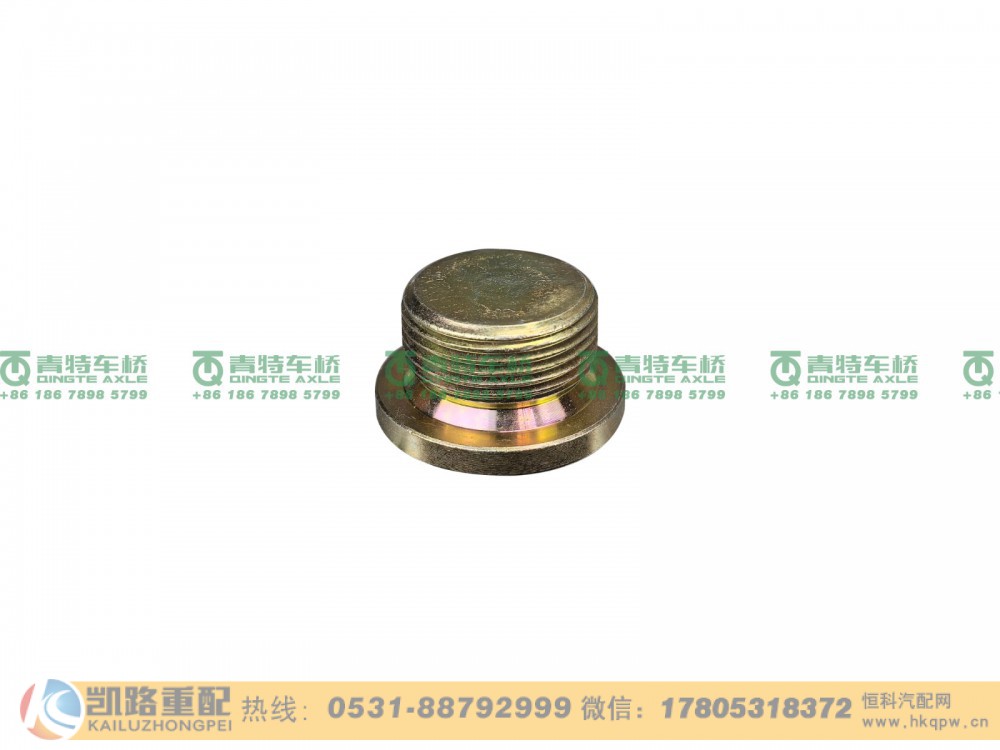 ZL300S1-2401011A,螺塞,山东凯路汽车零部件制造有限公司