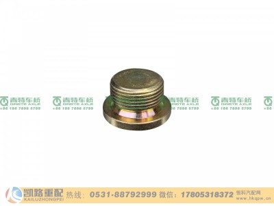 ZL300S1-2401011A,螺塞,山东凯路汽车零部件制造有限公司