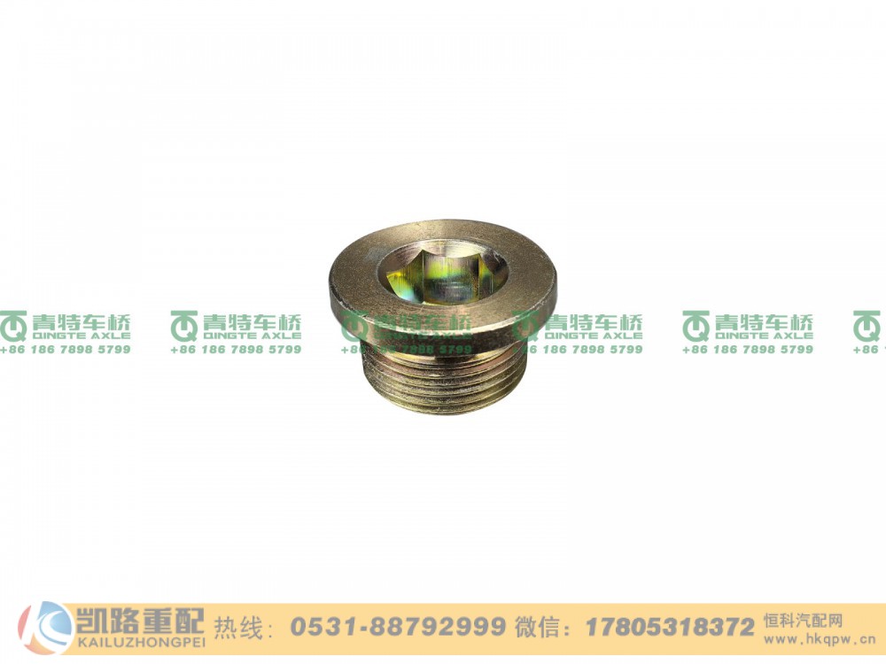 ZL300S1-2401011A,螺塞,山东凯路汽车零部件制造有限公司