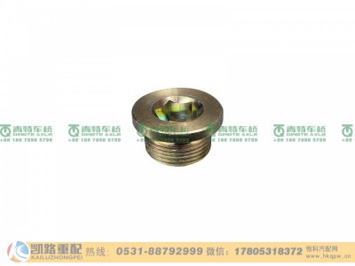 ZL300S1-2401011A,螺塞,山东凯路汽车零部件制造有限公司