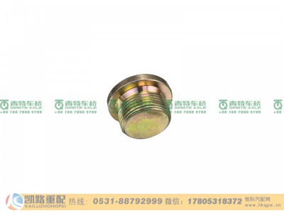 ZL300S1-2401011A,螺塞,山东凯路汽车零部件制造有限公司