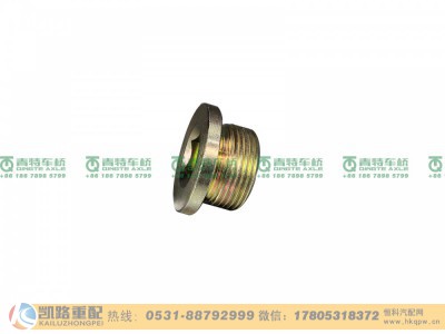 ZL300S1-2401011A,螺塞,山东凯路汽车零部件制造有限公司