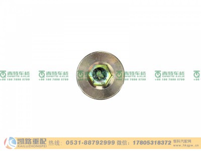 ZL300S1-2401011A,螺塞,山东凯路汽车零部件制造有限公司