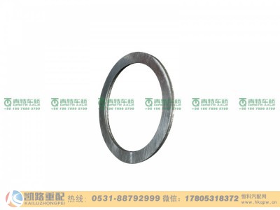 QT368D0-2402081-1,调整垫片,山东凯路汽车零部件制造有限公司