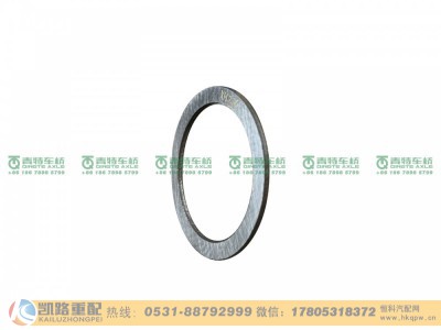 QT368D0-2402081-30,调整垫片,山东凯路汽车零部件制造有限公司