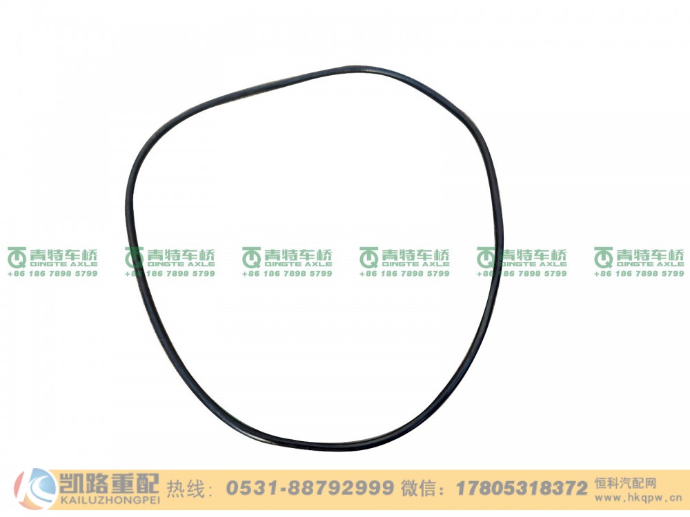 山东凯路青特车桥06.56341.4254_O型圈HDM300桥