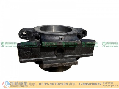 DZ91259520038,平衡轴壳,山东凯路汽车零部件制造有限公司