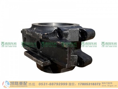 DZ91259520038,平衡轴壳,山东凯路汽车零部件制造有限公司