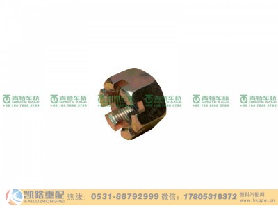 QT50AQ0-3001002,螺母,山东凯路汽车零部件制造有限公司