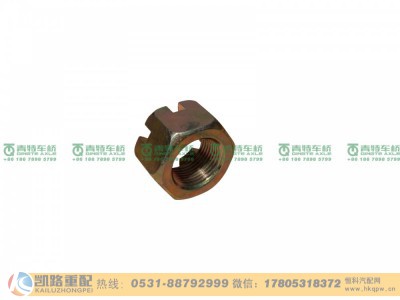 QT50AQ0-3001002,螺母,山东凯路汽车零部件制造有限公司