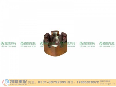 QT50AQ0-3001002,螺母,山东凯路汽车零部件制造有限公司
