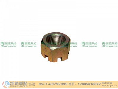QT50AQ0-3001002,螺母,山东凯路汽车零部件制造有限公司