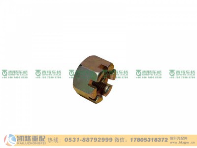 QT50AQ0-3001002,螺母,山东凯路汽车零部件制造有限公司