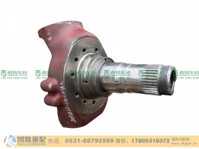 QT205Q23-2304040,转向节,山东凯路汽车零部件制造有限公司