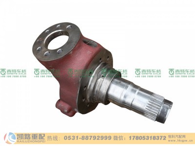 QT205Q23-2304040,转向节,山东凯路汽车零部件制造有限公司