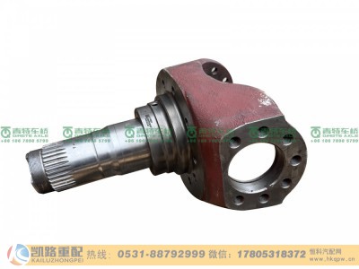 QT205Q23-2304040,转向节,山东凯路汽车零部件制造有限公司