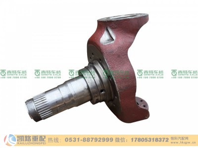 QT205Q23-2304040,转向节,山东凯路汽车零部件制造有限公司