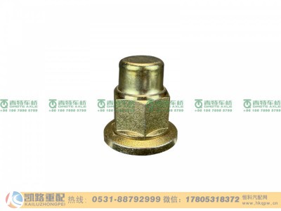 QT300SH2-3104070,车轮螺母,山东凯路汽车零部件制造有限公司