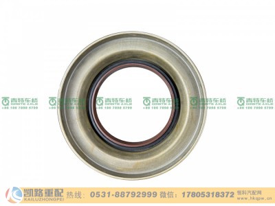 QT300SH2-2402250,油封,山东凯路汽车零部件制造有限公司
