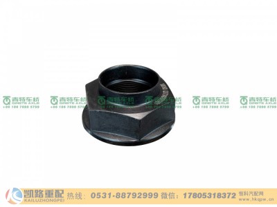 QDT2402072A01,螺母,山东凯路汽车零部件制造有限公司