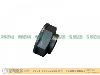 QDT2402072A01,螺母,山东凯路汽车零部件制造有限公司