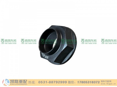 QDT2402072A01,螺母,山东凯路汽车零部件制造有限公司
