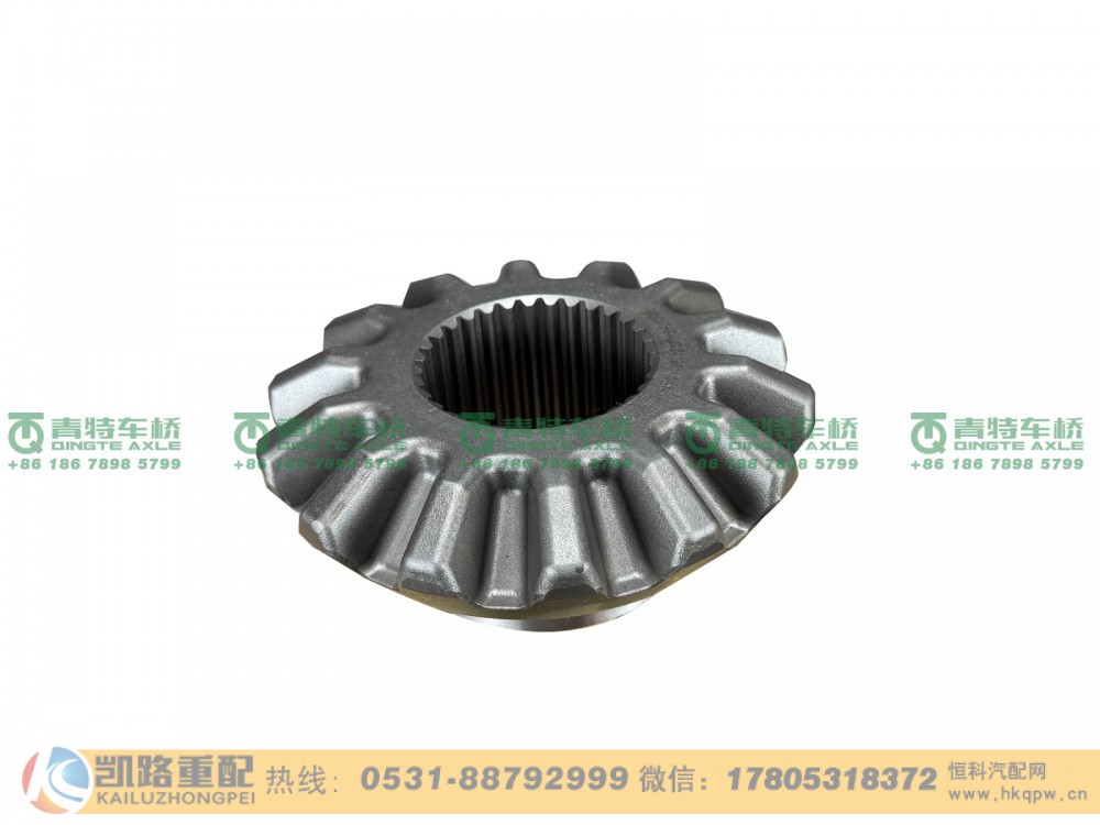 QT485D217-2403051,半轴齿轮,山东凯路汽车零部件制造有限公司