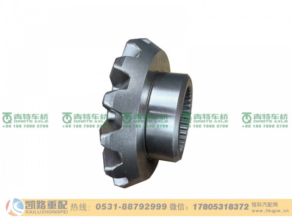 QT485D217-2403051,半轴齿轮,山东凯路汽车零部件制造有限公司