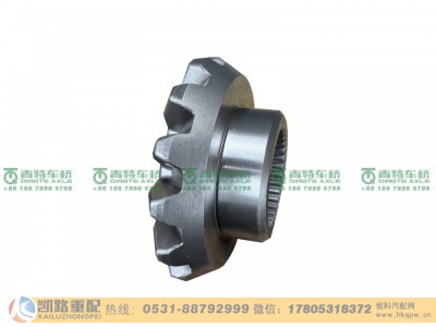 QT485D217-2403051,半轴齿轮,山东凯路汽车零部件制造有限公司