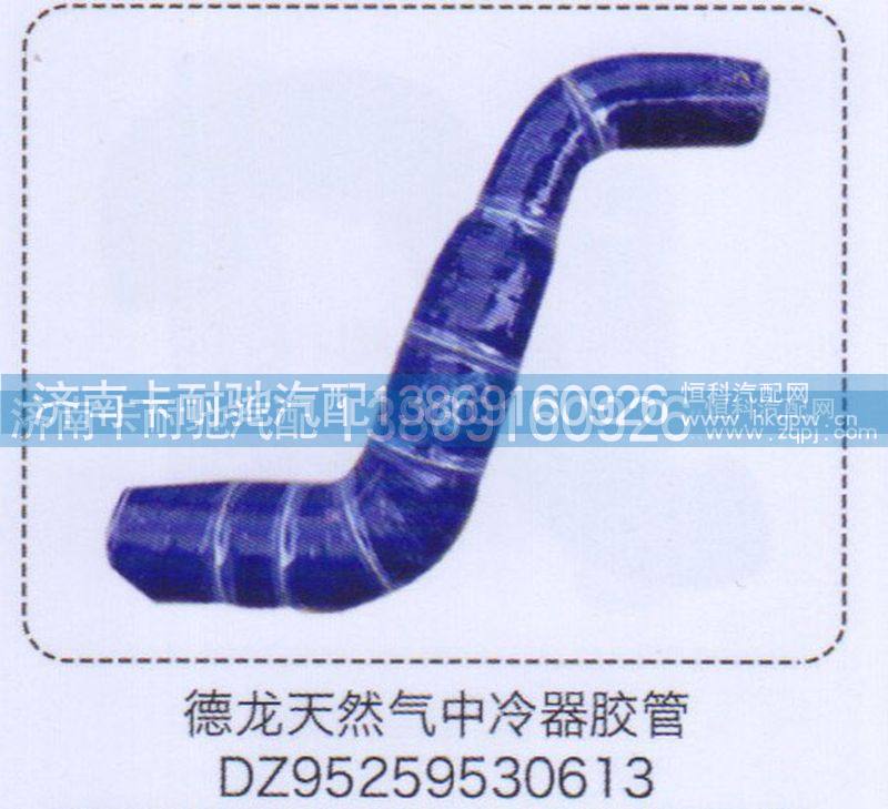 德龙天然气中冷器胶管DZ95259530613