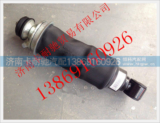 WG1664430079,,济南卡耐驰汽车配件有限公司