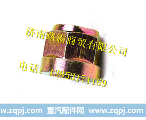 重汽豪沃70矿六角带肩自锁螺母