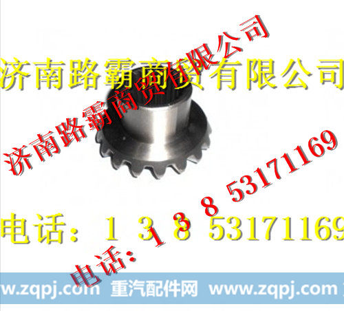 199012320009,半轴齿轮,济南汇德卡汽车零部件有限公司