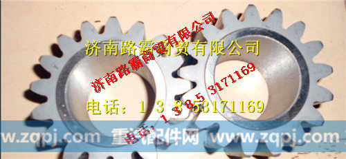 TZ56077000147.jpg,豪威60矿大江迈克桥行星齿轮,济南汇德卡汽车零部件有限公司