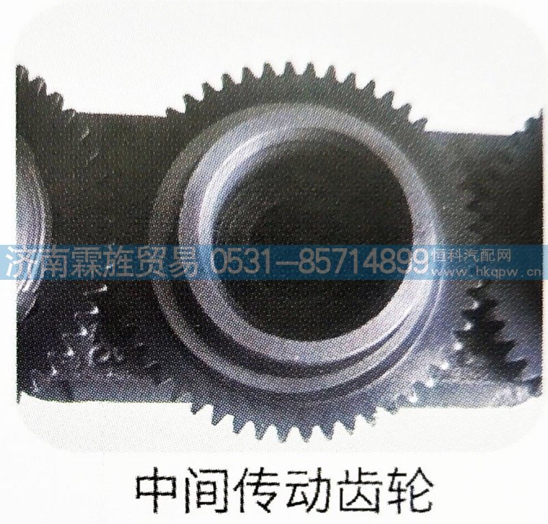 ,中间传动齿轮,济南霖旌贸易有限公司