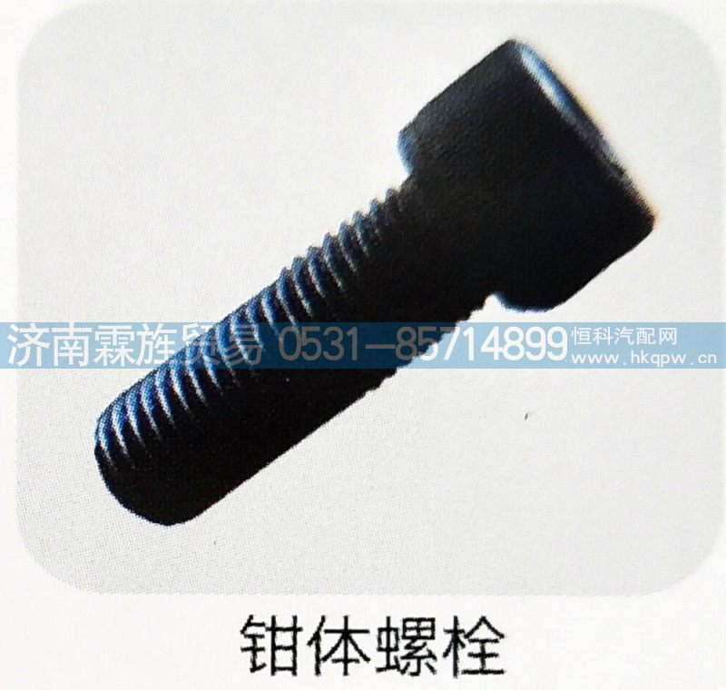 ,钳体螺栓,济南霖旌贸易有限公司