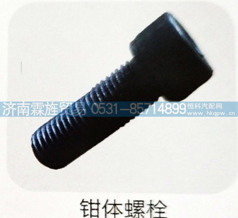 ,钳体螺栓,济南霖旌贸易有限公司
