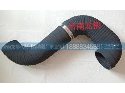 WG9925191016,空气软管,济南龙都汽车配件有限公司