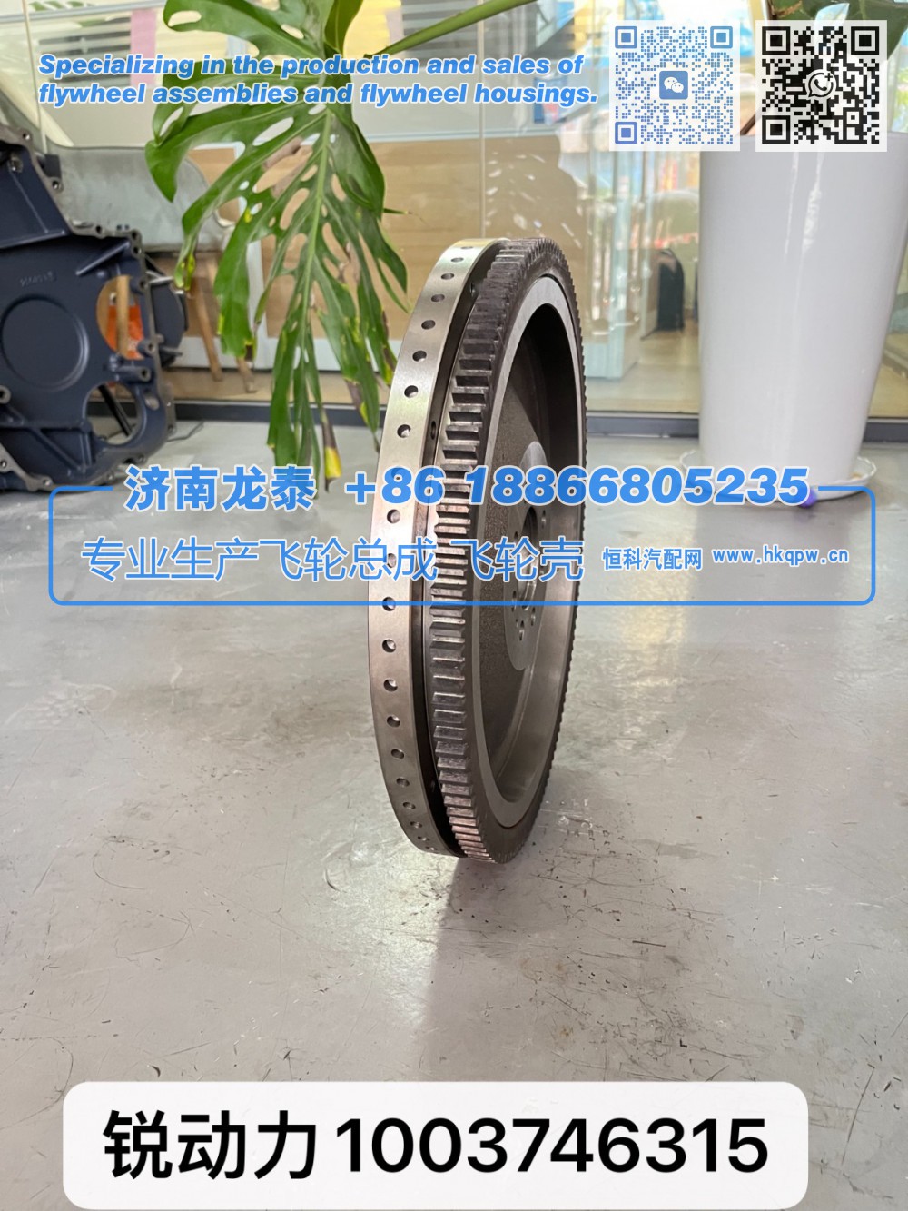 銳動(dòng)力1003746315飛輪總成【專業(yè)生產(chǎn)銷售飛輪總成 飛輪殼 支持定制】濟(jì)南龍?zhí)?1003746315