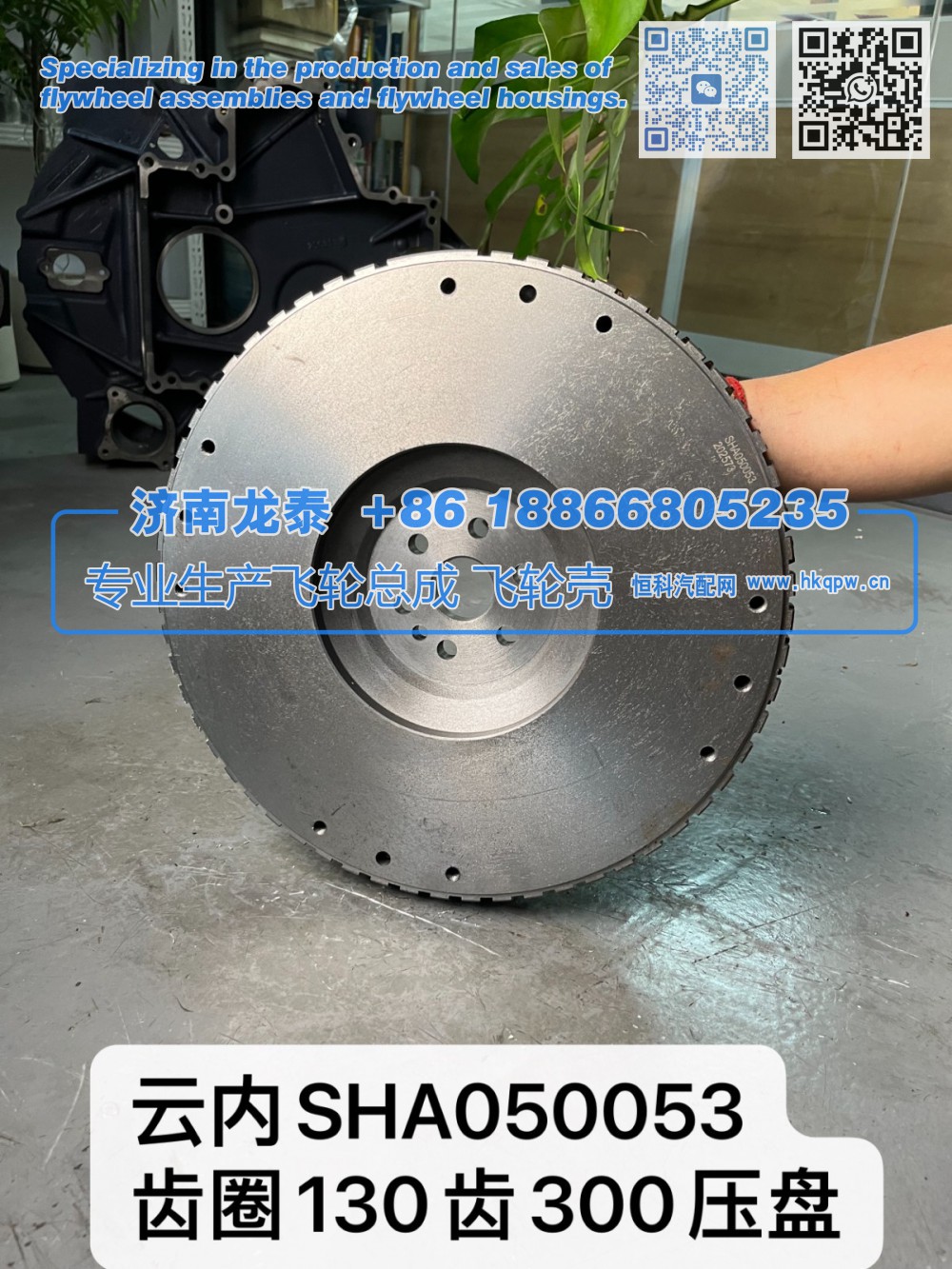 云內(nèi)SHA050053齒圈130齒300壓盤 飛輪總成【專業(yè)生產(chǎn)銷售飛輪總成 飛輪殼 支持定制】濟南龍?zhí)?SHA050053