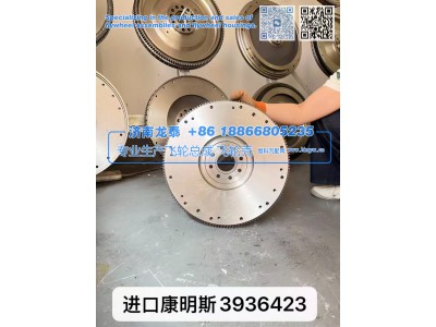 3936423,进口康明斯3936423飞轮总成,济南龙泰汽车配件有限公司