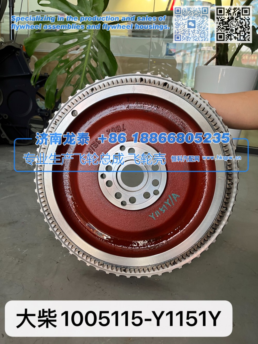 大柴1005115-Y1151Y飞轮总成【专业生产销售飞轮总成 飞轮壳 支持定制】济南龙泰