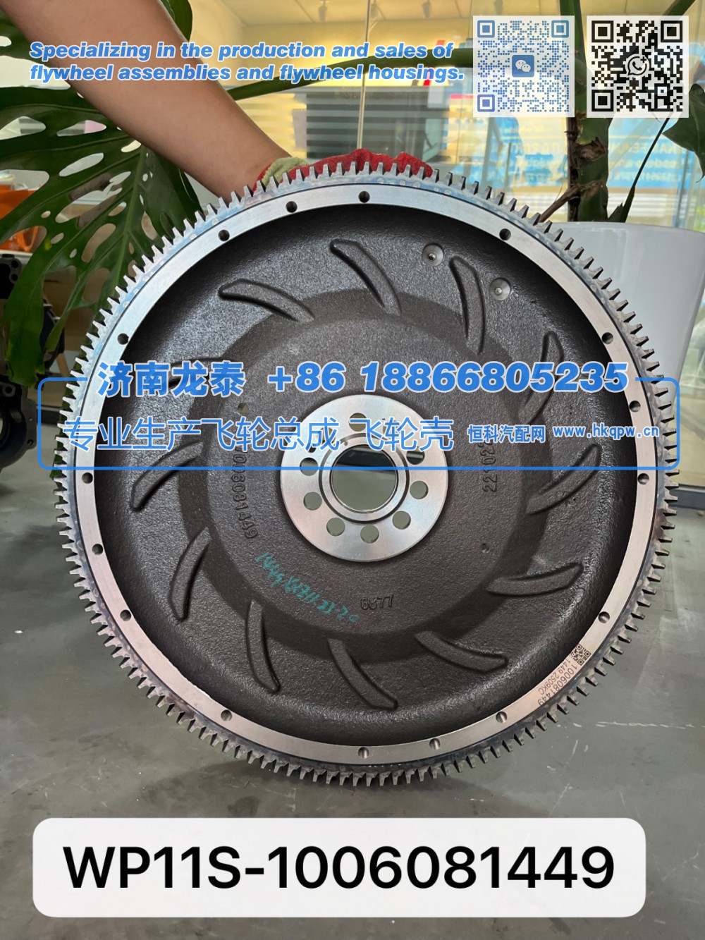 WP11S-1006081449飞轮总成【专业生产销售飞轮总成 飞轮壳 支持定制】济南龙泰