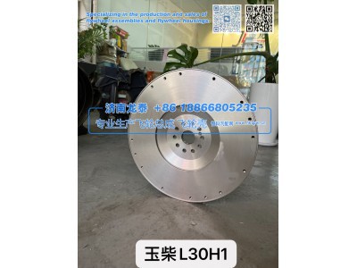L30H1,玉柴L30H1飞轮总成,济南龙泰汽车配件有限公司