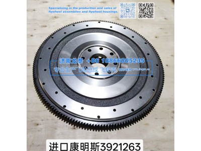 3921263,进口康明斯3921263飞轮总成,济南龙泰汽车配件有限公司