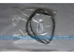 610800150098,潍柴WP7油底壳垫,济南隆强汽车配件有限公司