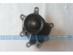 SR3871,水泵分体总成,济南隆强汽车配件有限公司