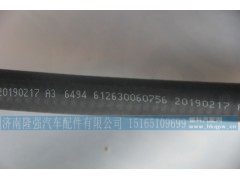 612630060756,油路连接胶管,济南隆强汽车配件有限公司